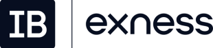 Exness logo